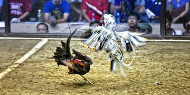 nohu78 ﻿đăng nhập lô đề uy tín
