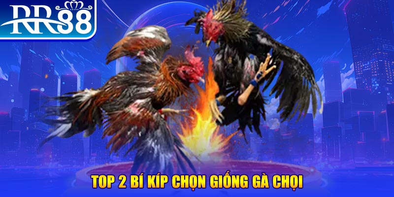 nohu78 bắn cá h5