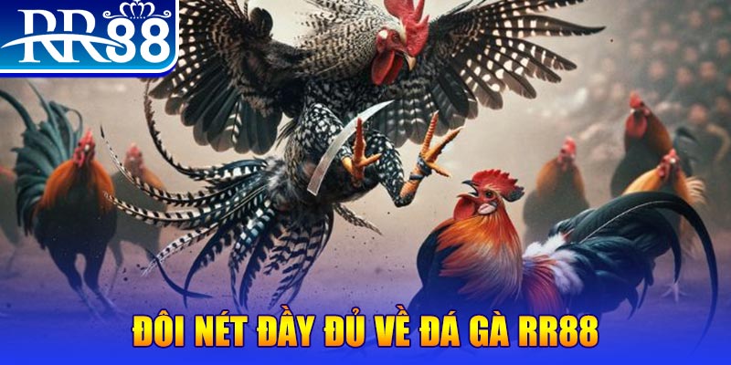 nohu78 gà chọi hoà phong