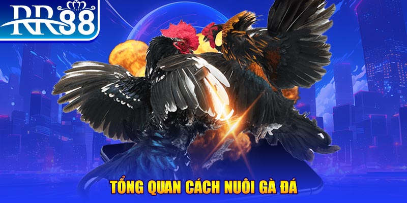 nohu78 xổ số thứ ba