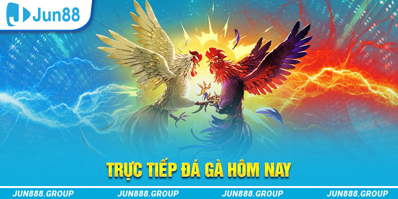 nohu78 trực tiếp đá gà thomo