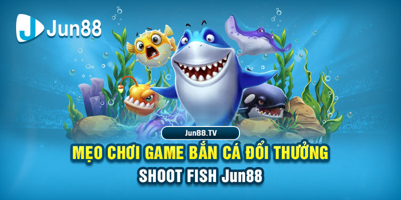 nohu78 tải game đánh bài online về máy tính