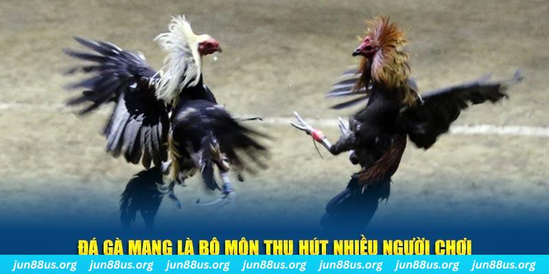 nohu78 xổ số long an