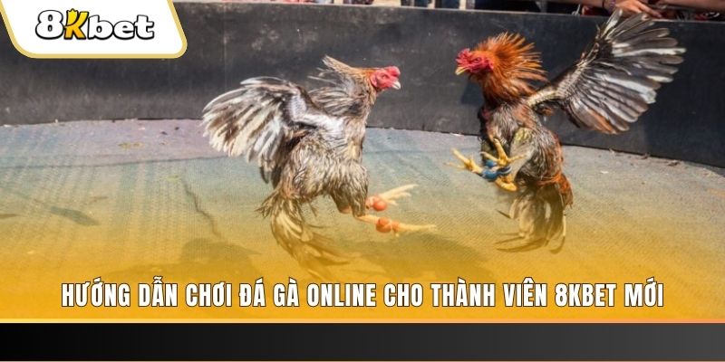 nohu78 nổ hũ đổi thưởng . ai