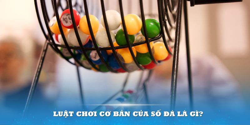 nohu78 Đĩa màu ace