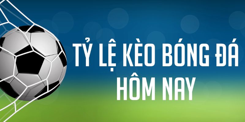nohu78 ÁT CHỦ MÁY HOA QUẢ THẦN TÀI