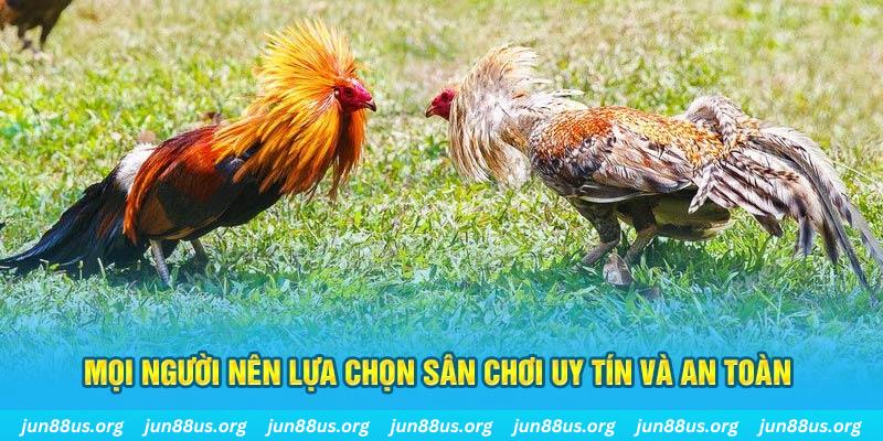 nohu78 Tài Xỉu