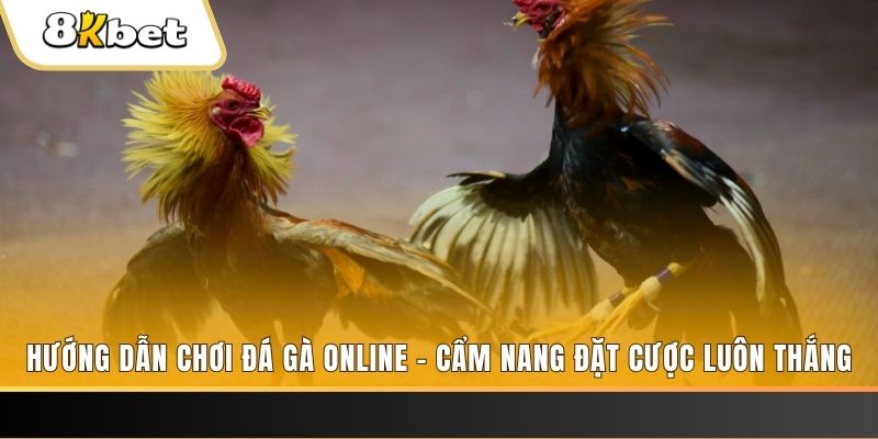 nohu78 tai game danh bai bigkool ve may tinh