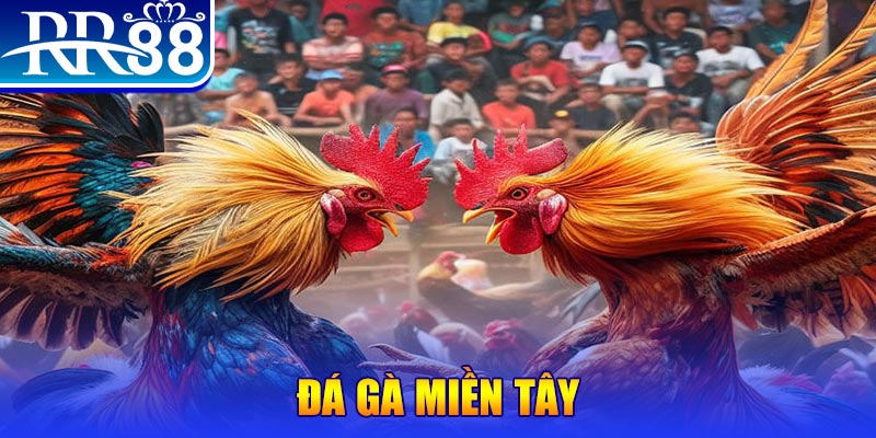 nohu78 download game danh bai iwin ve may tinh