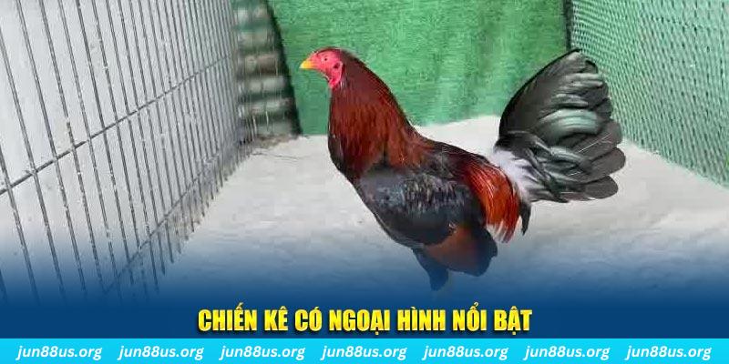 nohu78 nhạc slot là gì